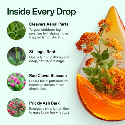 Lympathic Drainage Drops