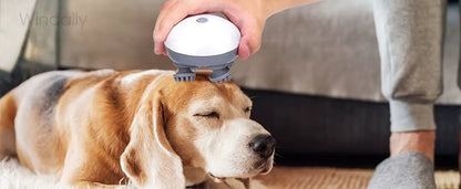 ScalpBloom Massager